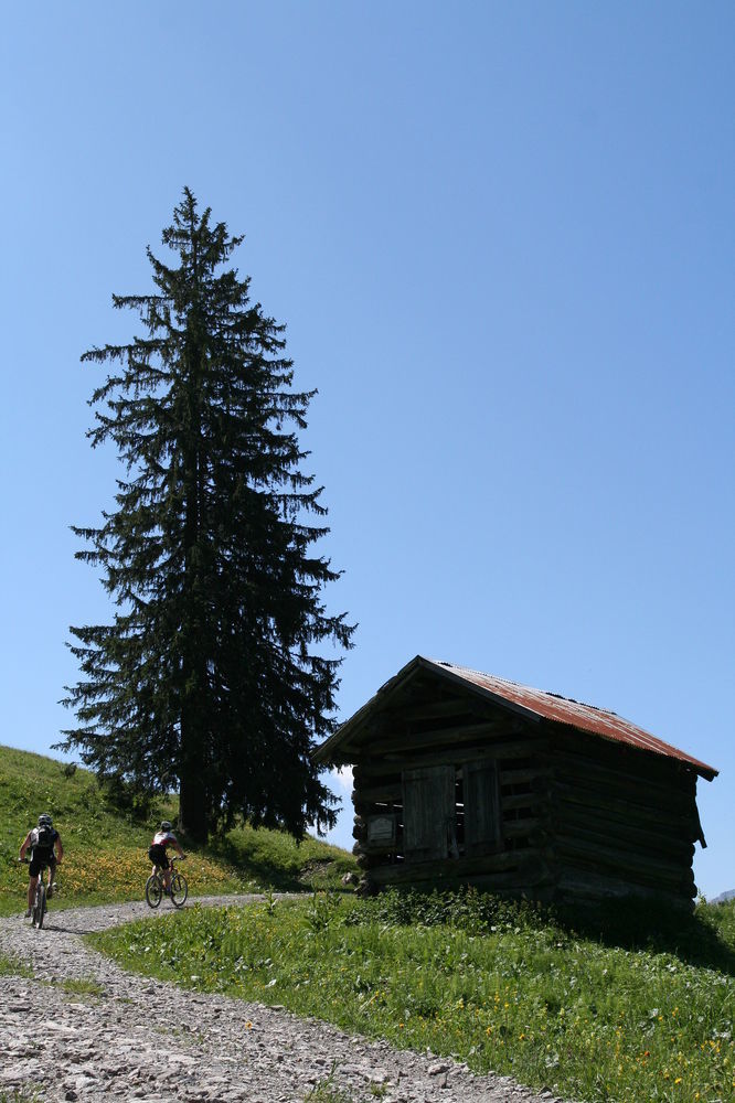 Haller's Posthotel Riezlern